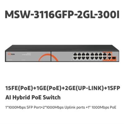MSW-3116GFP-2GL-300I