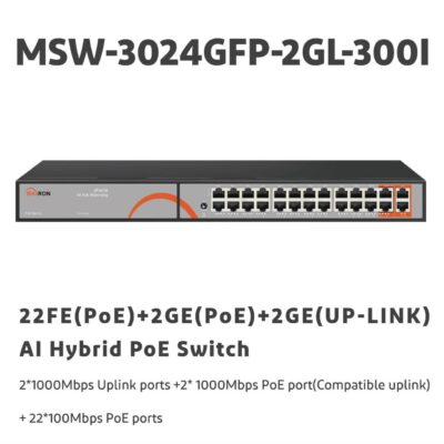 MSW-3024GFP-2GL-300I